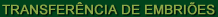 TRANSFERÊNCIA DE EMBRIÕES
